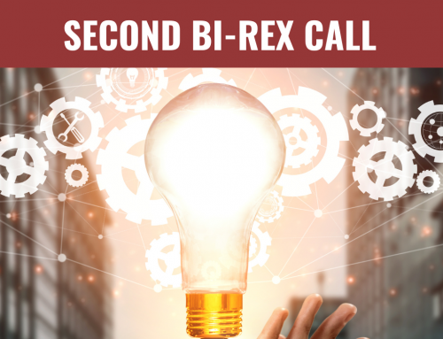 Second BI-REX Call