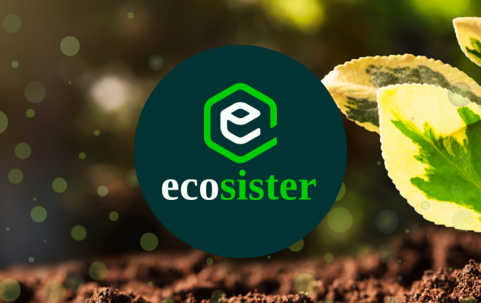 bandi progetto ecosister